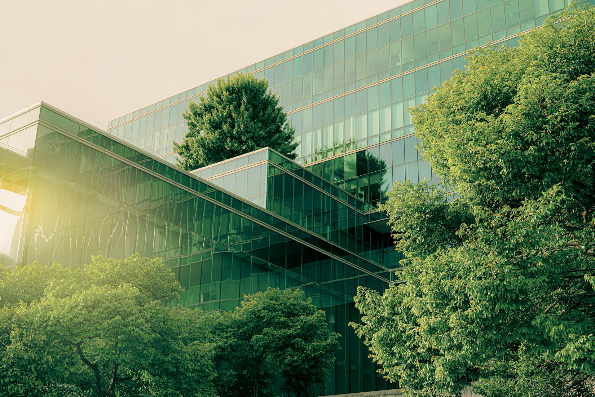 related post thumbnail